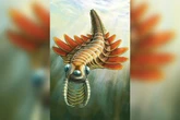 Pesquisadores encontram fóssil primitivo com três olhos no Canadá