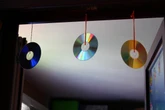 CDs podem proteger sua casa de insetos e aves; entenda como