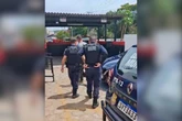 Tutor é preso após agredir pit-bull e alegar “correção física”
