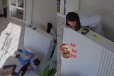 Homem faz entrada “triunfal” ao tropeçar em gato com dois cães no colo