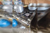 Infestada de baratas, fábrica clandestina de salgados é fechada; veja
