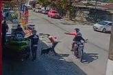 Vídeo: cão defende dono em tentativa de roubo e frustra assalto