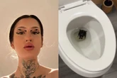 Mulher viraliza ao achar morcego em vaso e seguidores indicam vacina