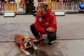 “Amigo verdadeiro”, declara Lewis Hamilton após morte de seu pet