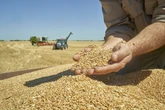 Apenas um país é autossuficiente em comida no mundo. Saiba qual