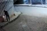 Homem que atirou coquetel molotov na casa de ex-funcionário é preso