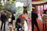 Fotos: veja detalhes da viagem de Harry, Meghan e filhos à Disney