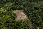 Brasil é o quarto país que mais mata ativistas ambientais