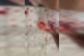 Filho, de 21 anos, confessa assassinato da própria mãe. Motivo choca