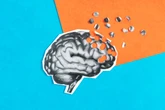 Microplástico no cérebro pode causar sintomas parecidos com Alzheimer