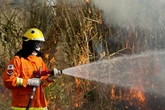 CBMDF combate incêndios em área igual a 300 campos de futebol