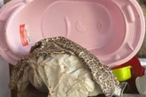 Vídeo mostra polícia na casa onde corpo de Ana Beatriz foi encontrado