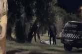 Em delegacia, homem ameaça assassinar cunhado e o mata uma hora depois