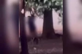 Homem se masturba em prédio abandonado em MS. Veja vídeo