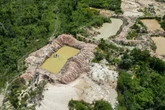 Governo inicia operação contra garimpeiros em terra indígena Kayapó