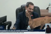 Gato mascote da Câmara de Votuporanga interrompe presidente em sessão