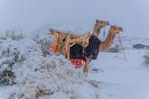 Vídeo: neve cobre deserto saudita pela 1ª vez na história