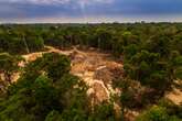 Garimpeiros se candidatam e querem dominar cidades do ouro na Amazônia