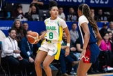 Brasil perde para os EUA e fica com o vice da AmeriCup 2025