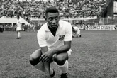 Entenda como a fama de Pelé já salvou o fotógrafo Sebastião Salgado
