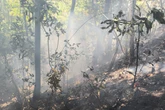 Incêndio em área ambiental de Pirenópolis está controlado, diz CBMGO
