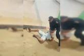 PMs agridem homem em distribuidora irregular no DF. Veja vídeo