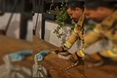 Cobra em cima da mesa: bombeiros resgatam jiboia em condomínio do DF
