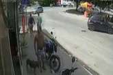 PB: adolescente de 15 anos fica ferido após ataque de pitbull