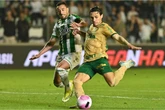 Como foram os últimos jogos entre Palmeiras x Juventude? Veja e aposte