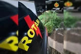 Jardim do crime: PMDF encontra 53 pés de maconha em condomínio. Vídeo