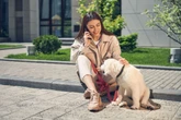 Veja 6 raças de cães sociáveis e ideais para quem mora em condomínio