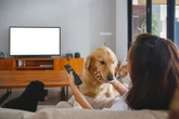 Por que os filmes de cachorro sempre fazem as pessoas chorarem?