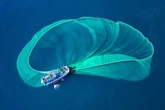 Pesca comercial: peixes têm 10 minutos de dor intensa antes de morrer