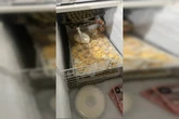 Com moscas e alimentos vencidos, famoso buffet de Goiânia é fechado