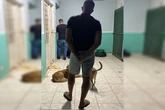 Clínica do terror: falso veterinário matou cães e gatos após cirurgias