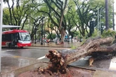 Chuva e rajadas de vento deixam 141 mil imóveis sem luz na Grande SP