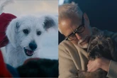 Conheça o cachorro real que inspirou Krypto, companheiro do Superman