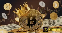 Ganhe até 39.855 dólares por dia com mineração em nuvem RIMining