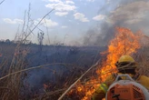 Mapa do fogo: área queimada este ano no DF equivale à de 13 cidades juntas