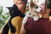 Cat person x dog person: o que significa ter preferência entre os pets