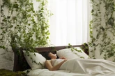 5 plantas para ter no quarto: elas melhoram sono e limpam o ar