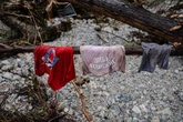 EUA: acampamento confirma mortes de 27 crianças levadas por enchente