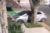 Morte nos Jardins: assassinos de engenheiro buscavam joias e relógios