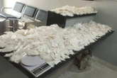 Adolescente é apreendida com 13 mil porções de cocaína em Paraisópolis