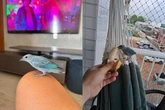 Passarinho “invade” apartamentos, é descoberto e vira xodó de vizinhos