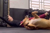 Vira-lata rouba a cena ao imitar treinos em academia pet friendly