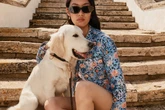Cães e gatos dentro da moda: veja lançamentos das grifes para os pets
