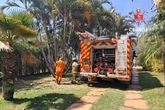 Incêndio atinge mata e se expande para canil de mansão no Lago Sul