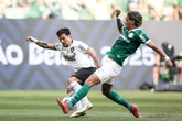 Botafogo tem ótimo retrospecto recente contra o Palmeiras. Confira