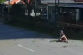 Que susto! Ciclista escapa de queda de árvore por milímetros. Vídeo